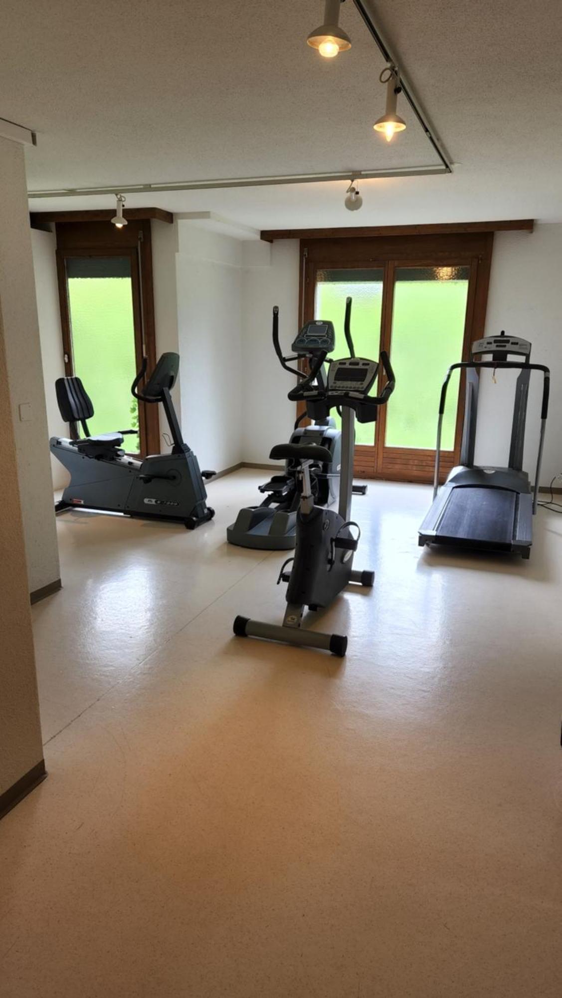 Solohike Mountainview Apartment Seelisberg Bagian luar foto